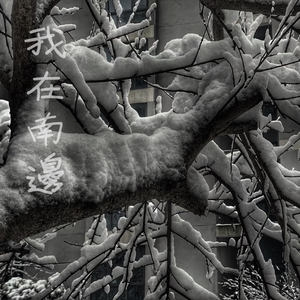 日韩Av无码高清
