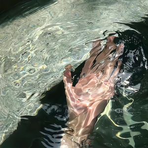 日韩Av无码高清
